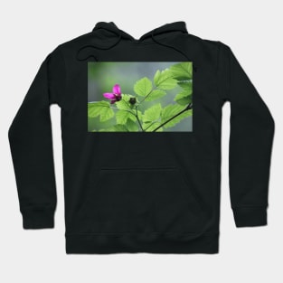 Salmon berry flowers Hoodie